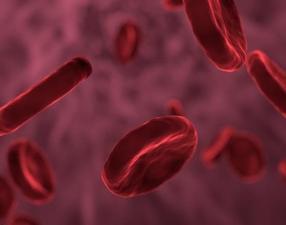 Editas’ Gene-Edited Cell Therapy for Beta Thalassemia Wins Orphan Status 