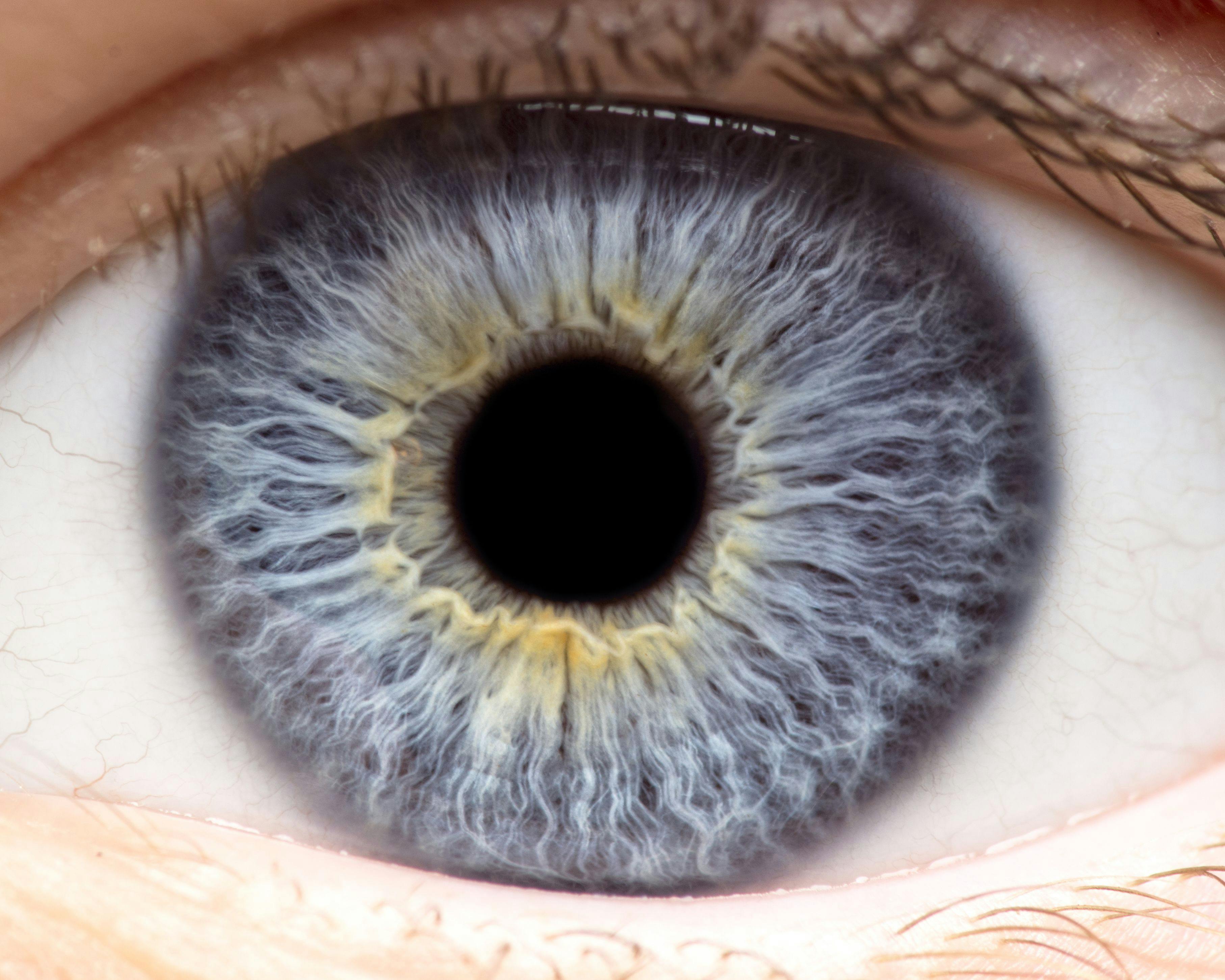 OpRegen Continues to Show Efficacy in Dry AMD Geographic Atrophy