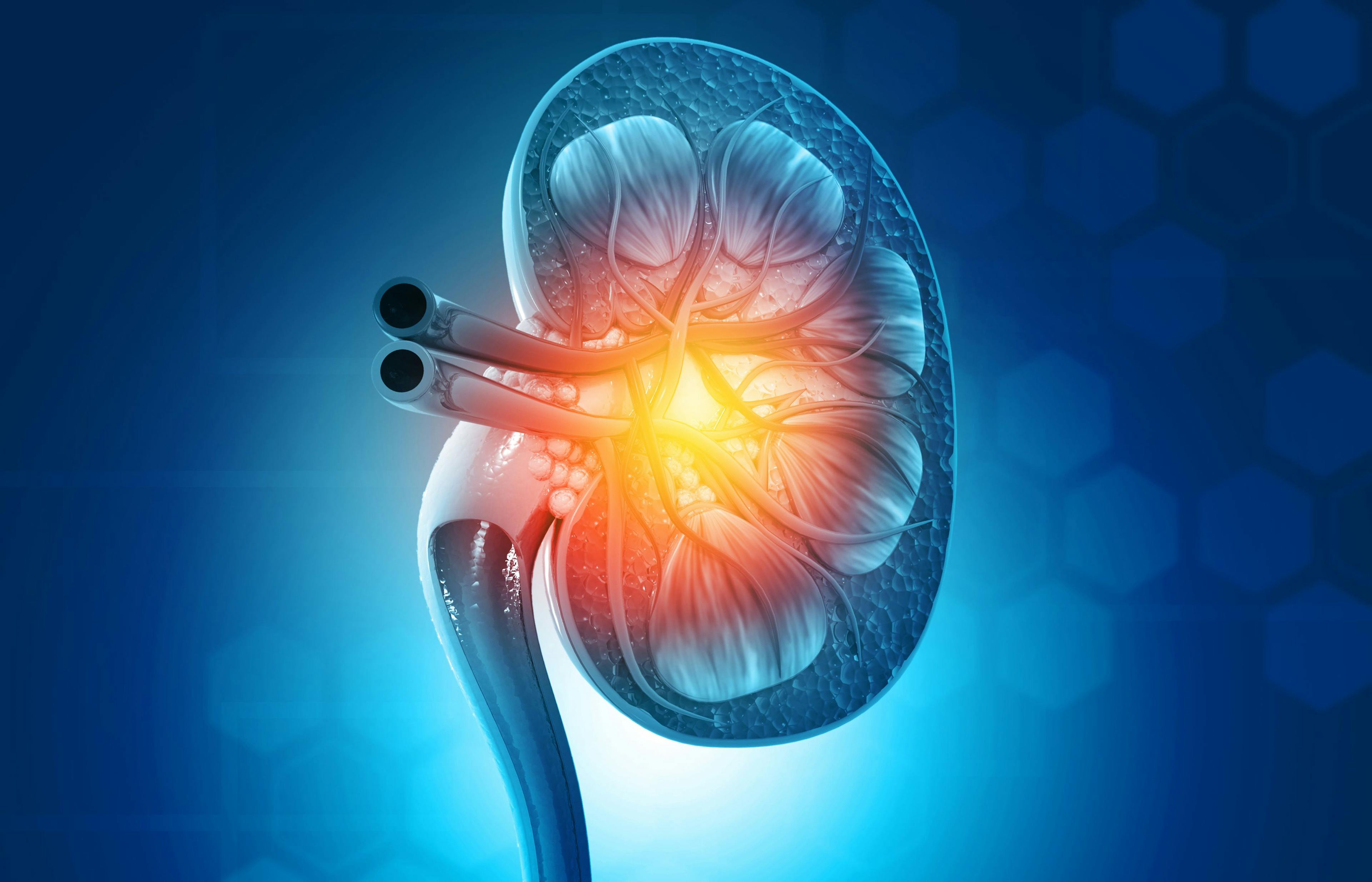 Lupus Nephritis CAR-T Therapy Cleared for Phase 1/2 Clinical Trial 