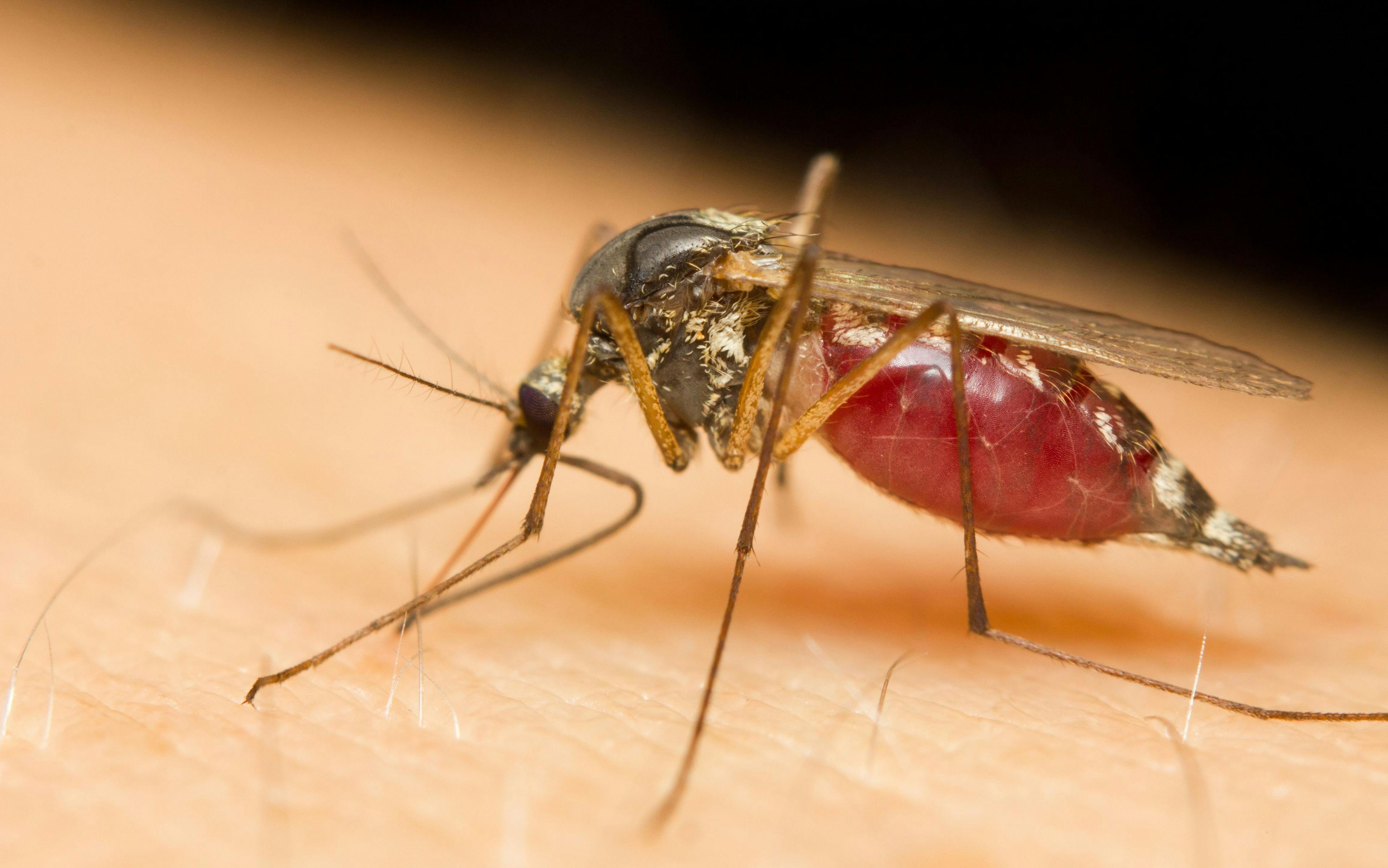 BioNTech's Next mRNA Vaccine: Malaria