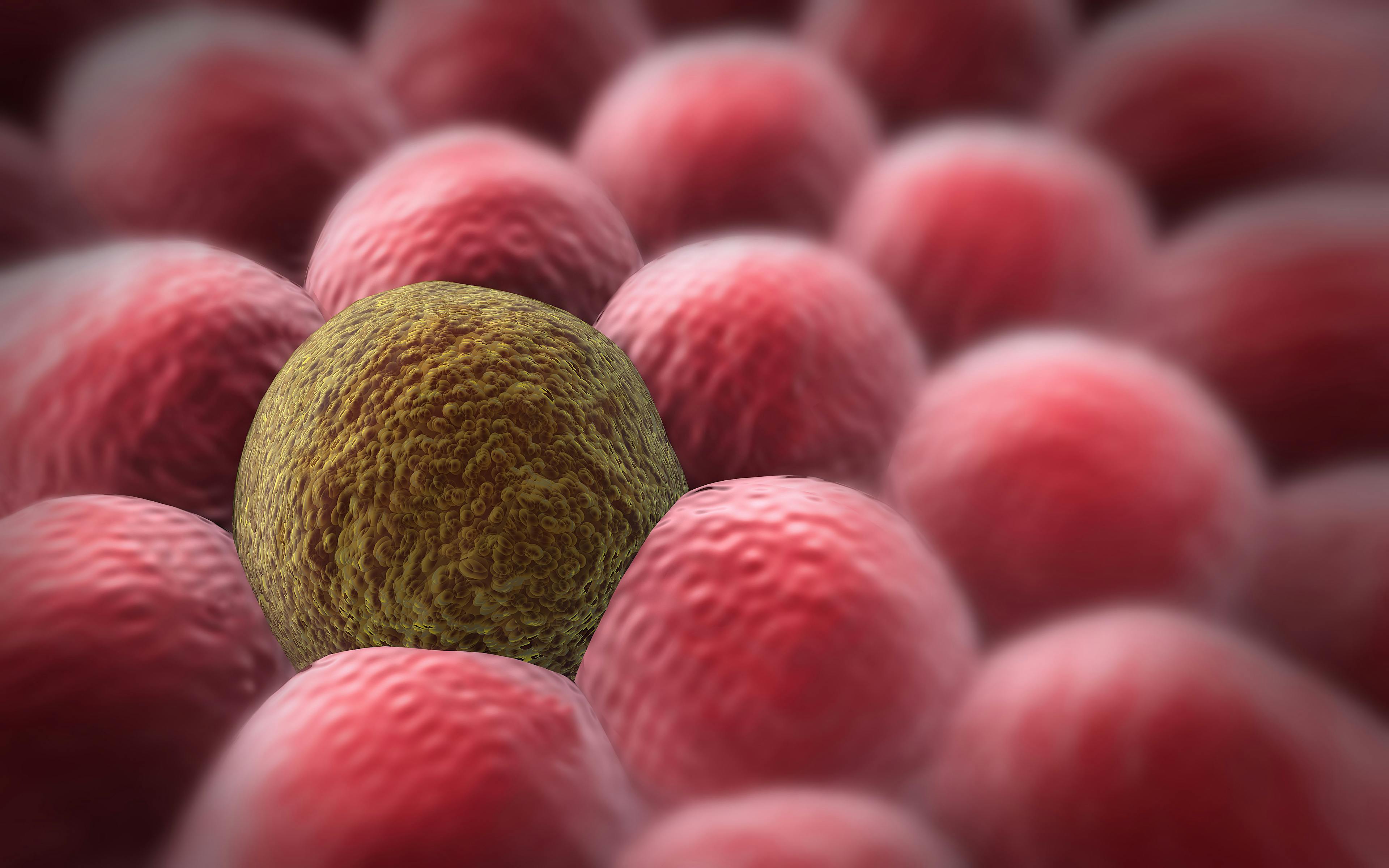 CAR-Macrophage Receives Fast Track Designation for Solid Tumors