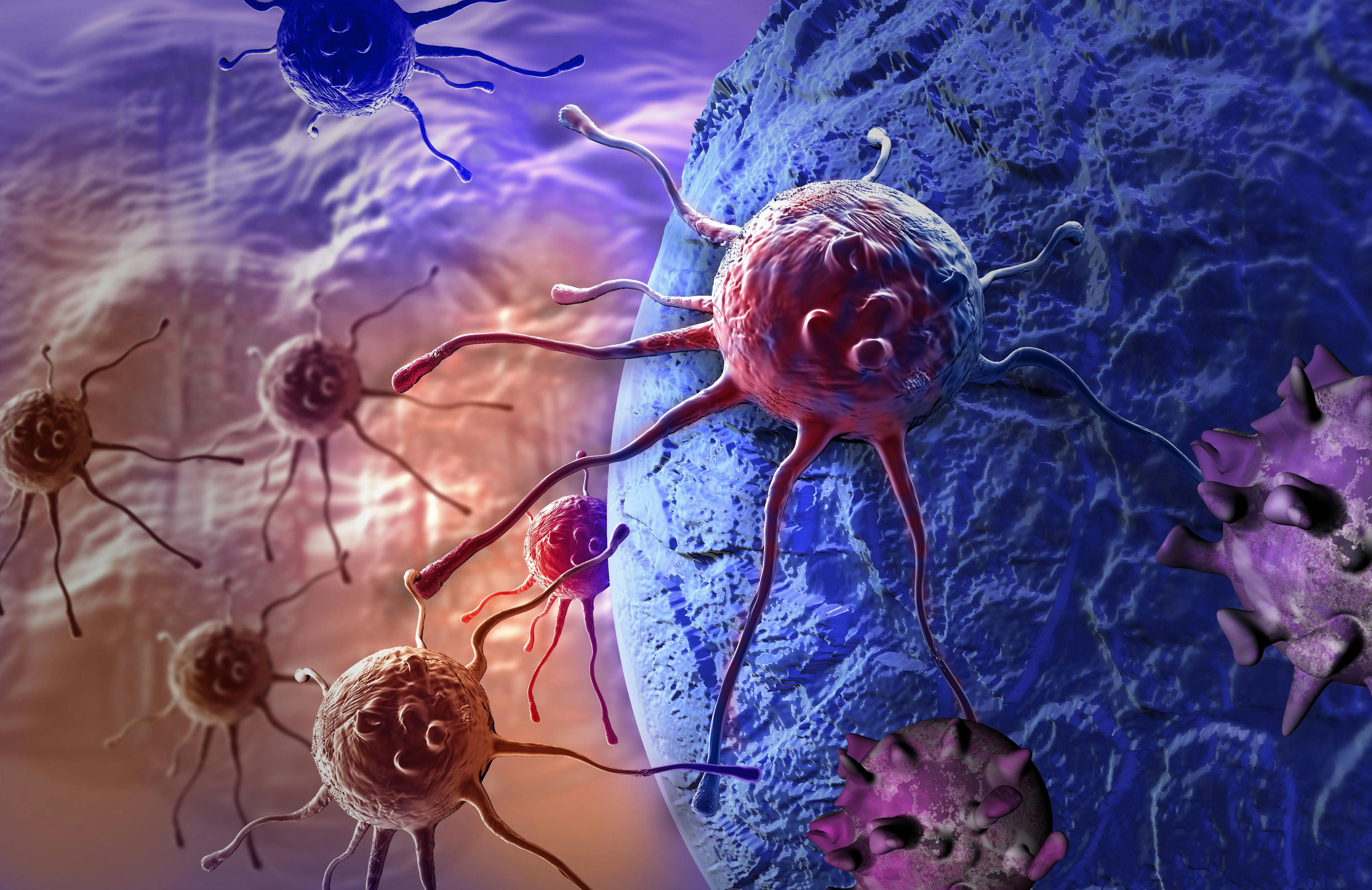 CAR-NK Cells Show Potential in Solid Tumor Immunotherapy
