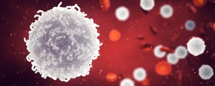 Virus-Specific T-Cell Therapy Makes Headway in Virus Prevention After Allo-HCT