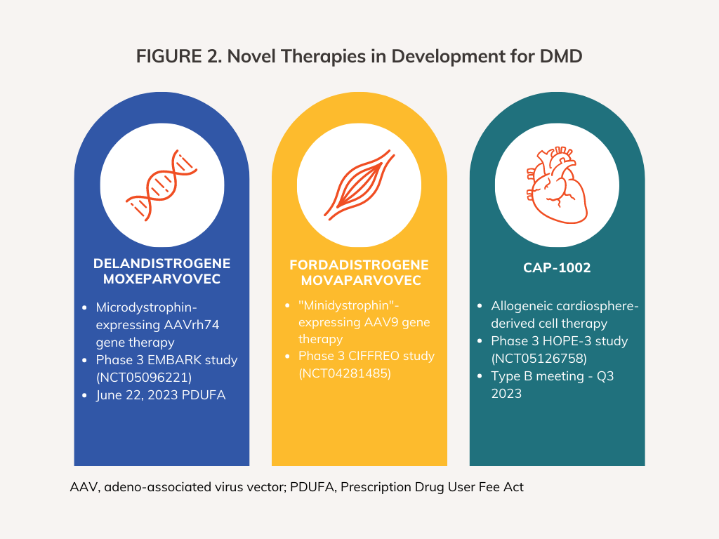 Novel Therapies in Development for DMD