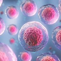 Stem Cell Recipients Develop Robust Immunity Against SARS-CoV2 and Common Human Coronaviruses