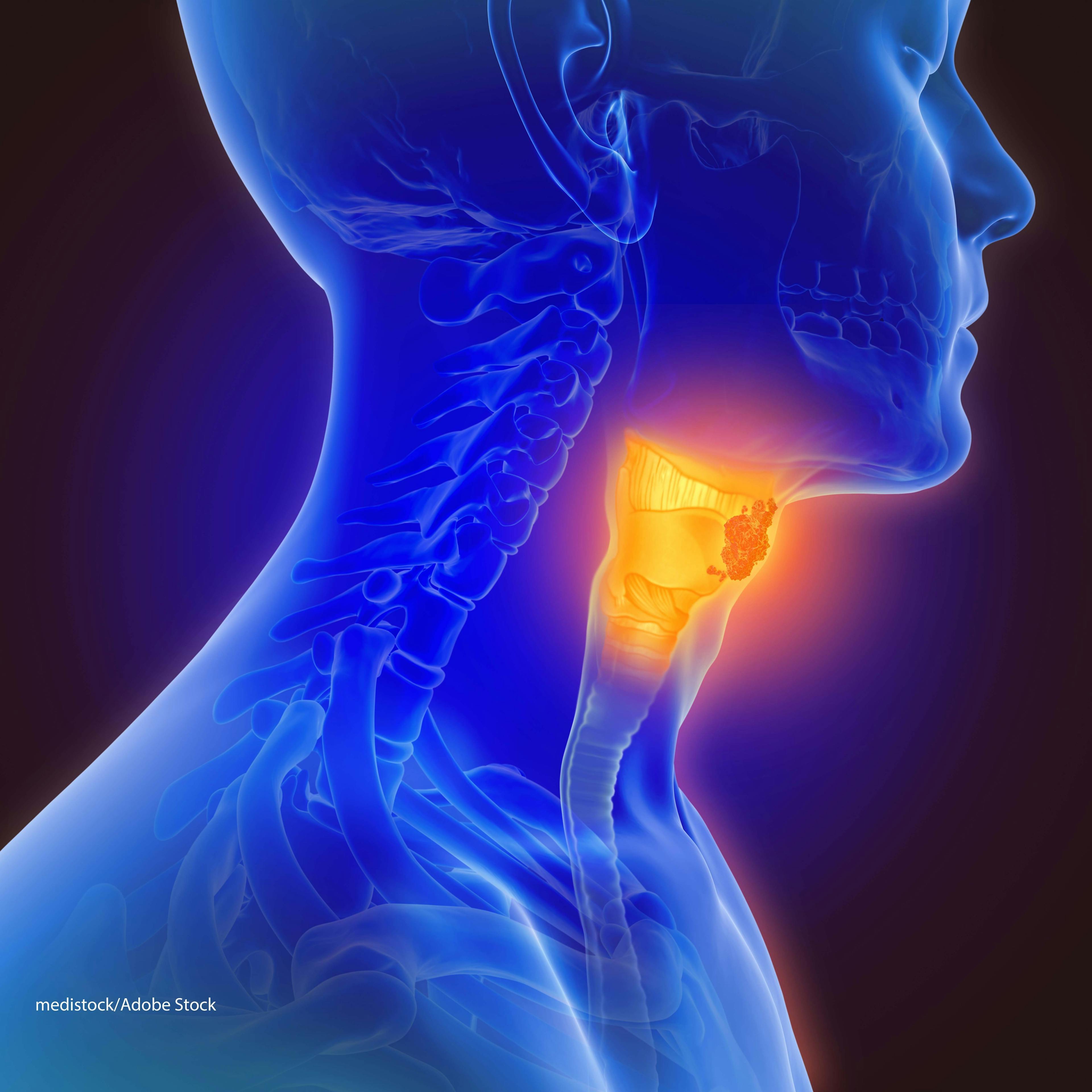 HPV and the Immune System in Head and Neck Cancers: Therapeutic Considerations