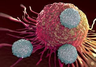 NCCN Report on CAR T-Cell Therapy, Recommendations for Future Use