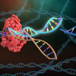 After Exa-Cel: Exploring the Next Wave of CRISPR Gene Editing Strategies