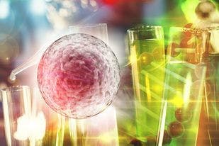 Researchers Test Approach to Remove Protective Tumor Barrier, Making Immunotherapies More Effective