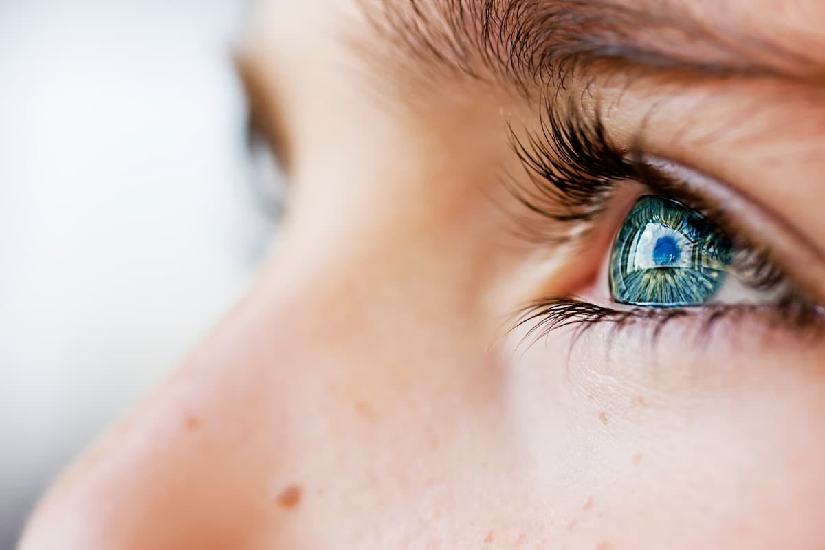 Sylentis’ siRNA Therapy Fails to Improve Symptoms of Dry Eye Disease Due to Sjögren’s Syndrome