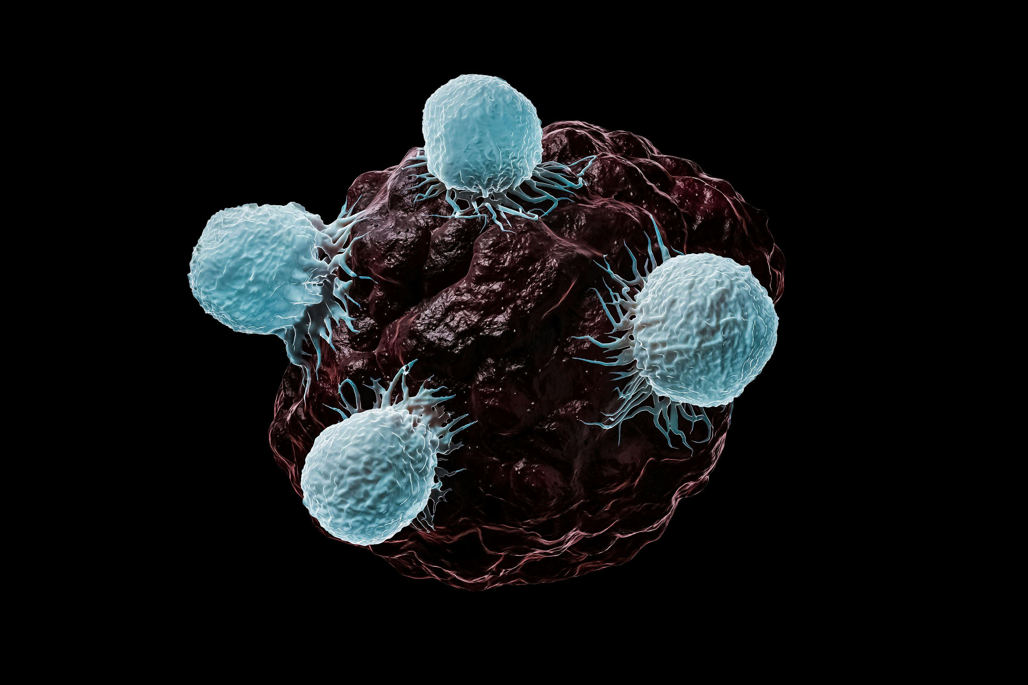 Natural Killer Cell Therapy Well Tolerated in Solid Tumors 