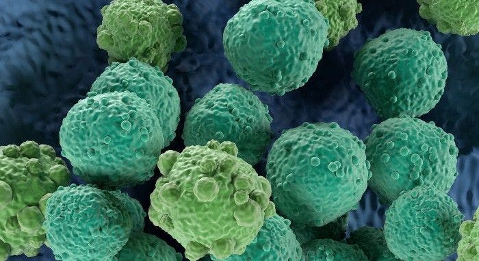 Legend Biotech Drops Lymphoma CAR T-Cell Therapy
