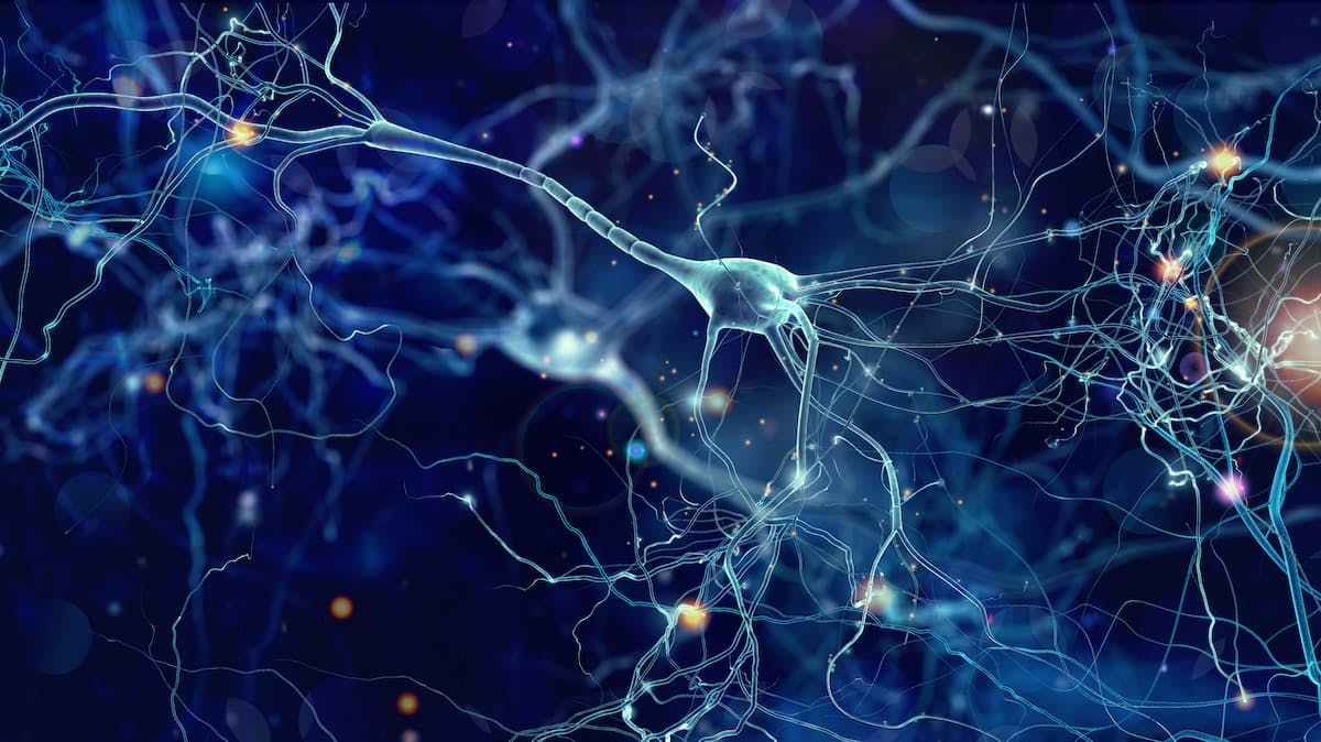 Parkinson Disease iPSC-derived Therapy ANPD001 Cleared for Clinical Trial in the US