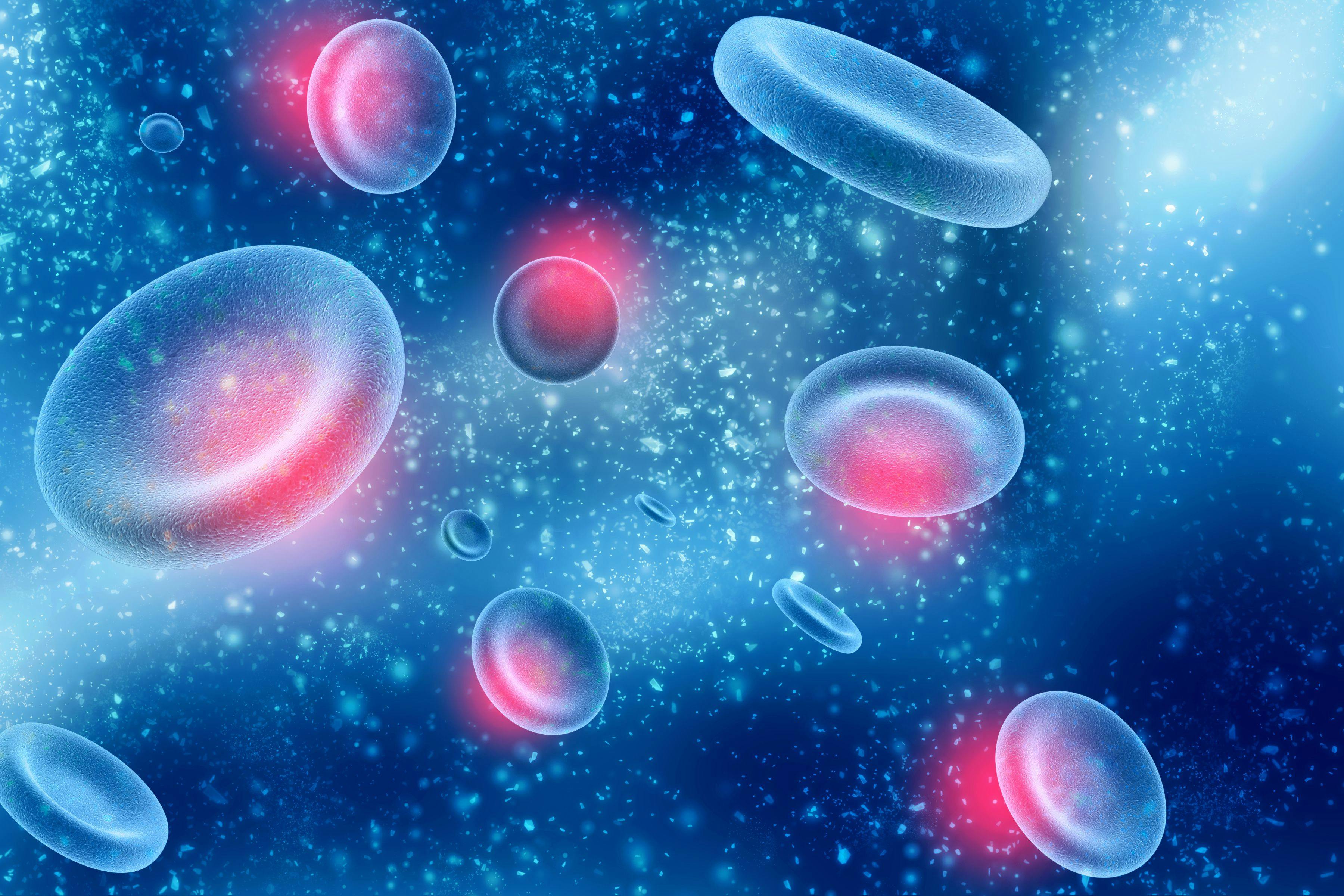 Advancing Natural Killer Cell Therapies for Hematologic Malignancies 