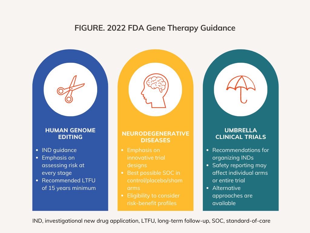 FDA guidance for gene therapies
