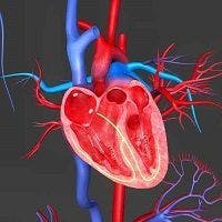 Promising Gene Therapy for Heart Failure