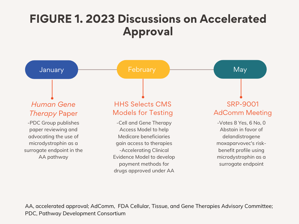 2023 Discussions on Accelerated Approval