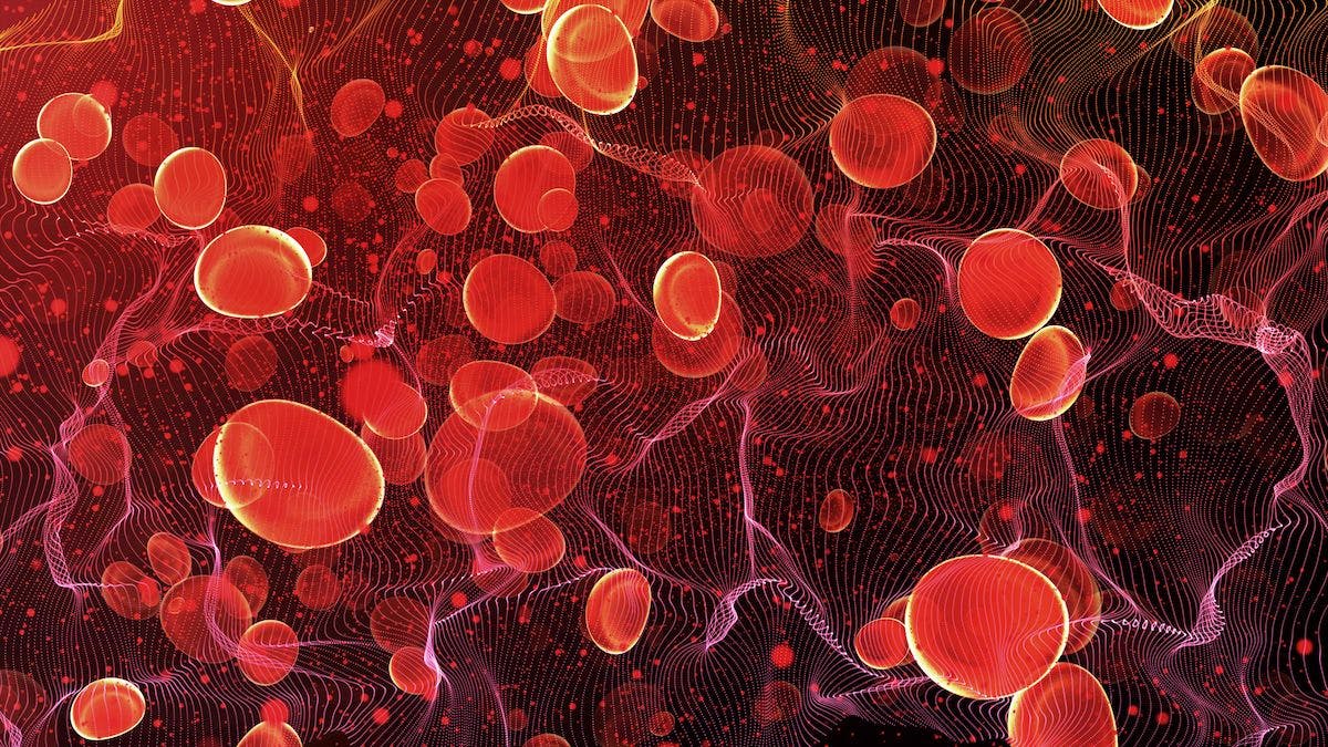 Gene-Edited Cell Therapy Improves Sickle Cell, Transfusion-Dependent Thalassemia Phenotypes 