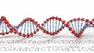 Positive Topline Results Released from Study of Gene Therapy in OTC Deficiency